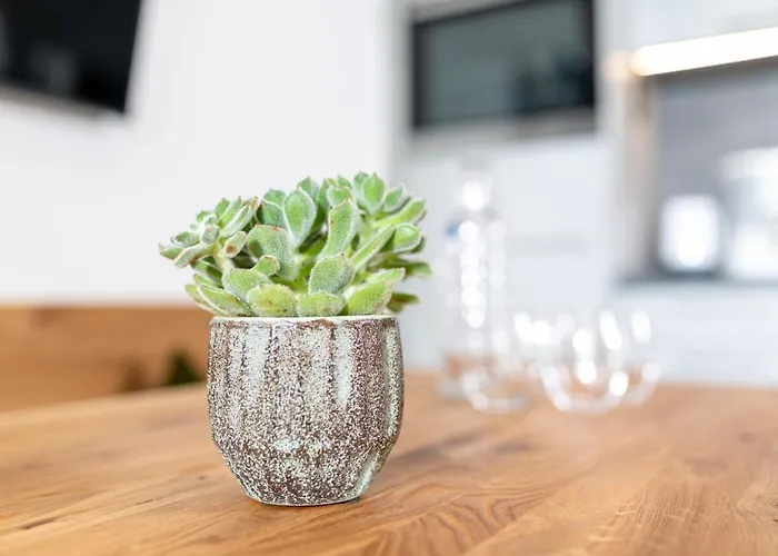 Rainer - Mittendrin Soll